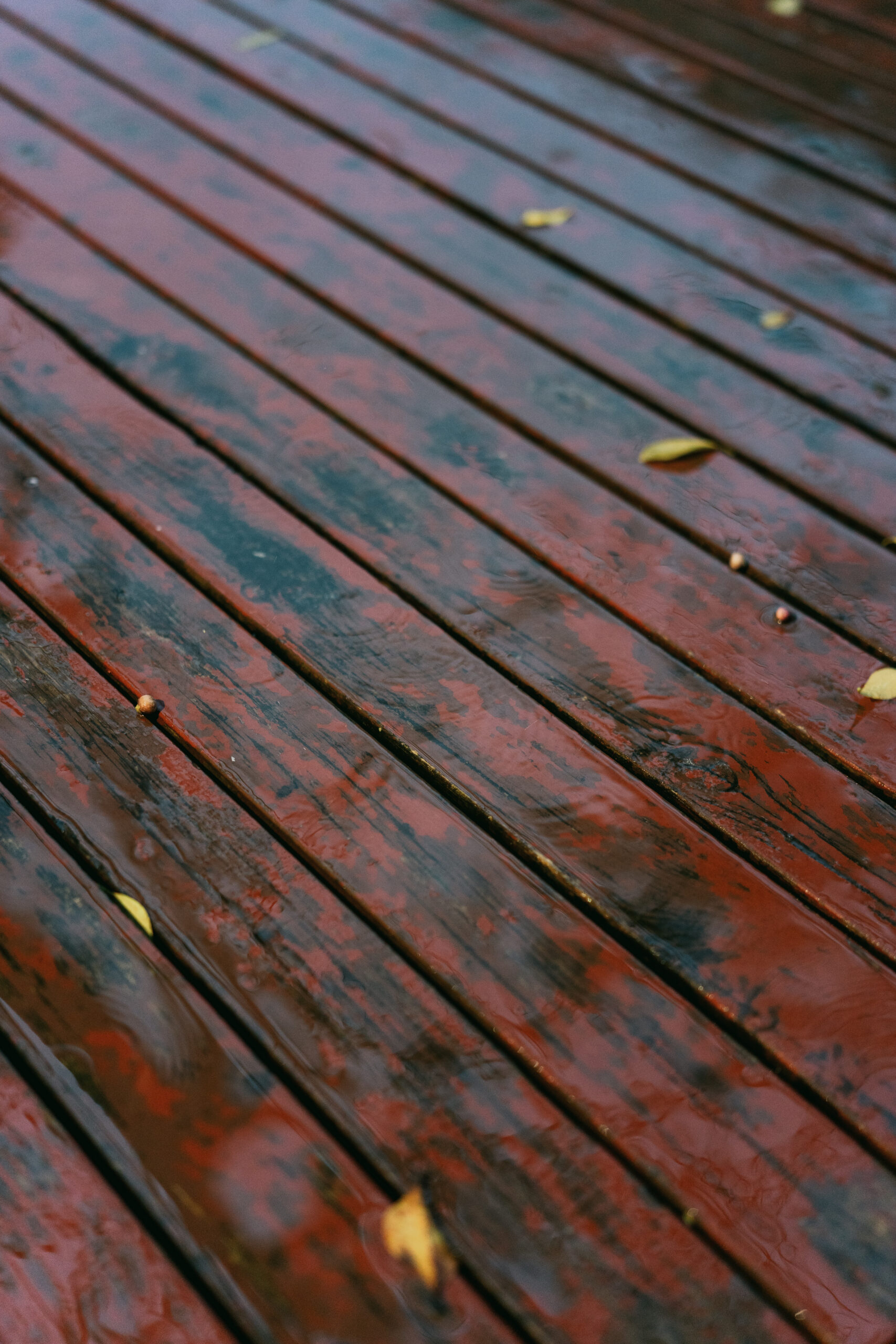 Wet wooden deck with scattered leaves in rainy weather, urban outdoor scene