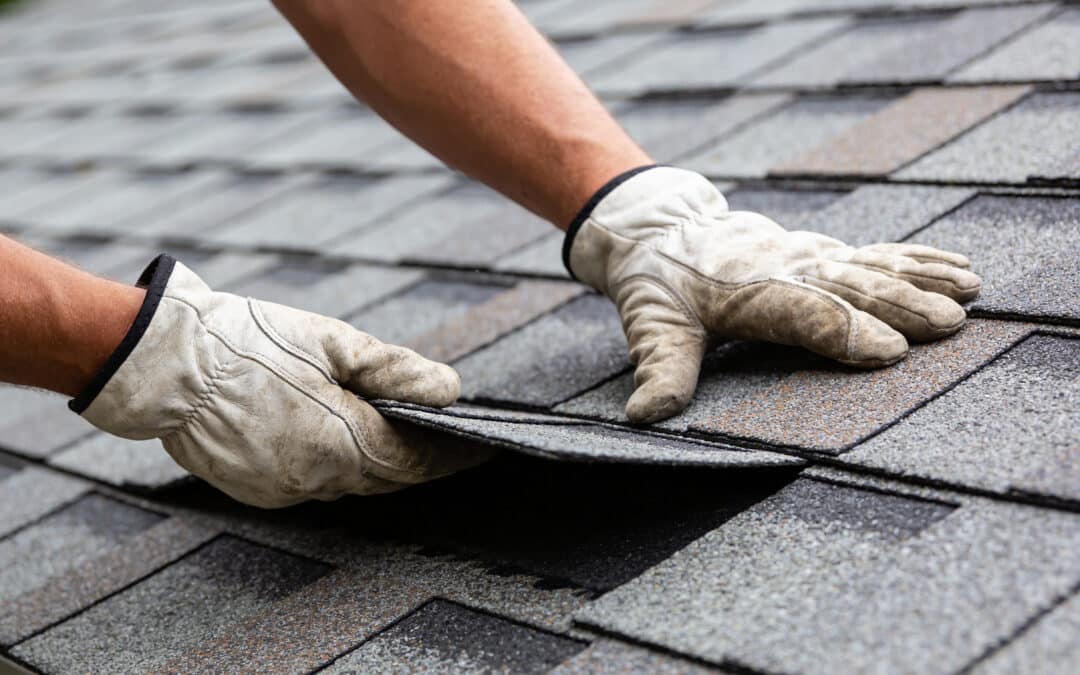 Common Types of Roof Damage & Warning Signs | Roof Repair in Southwest Michigan